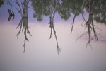 Sunset over the Murray River at Blanchetown, South Australia