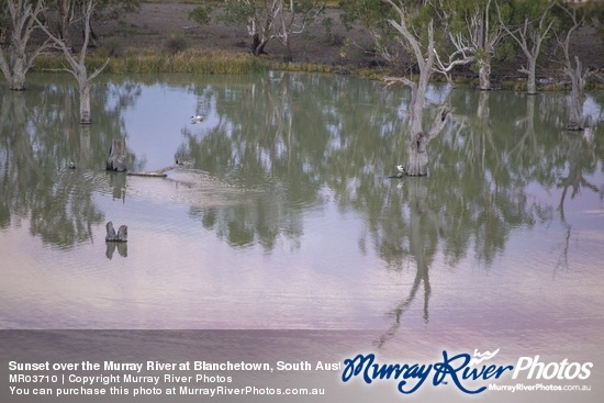 Sunset over the Murray River at Blanchetown, South Australia