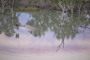 Sunset over the Murray River at Blanchetown, South Australia