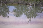 Sunset over the Murray River at Blanchetown, South Australia