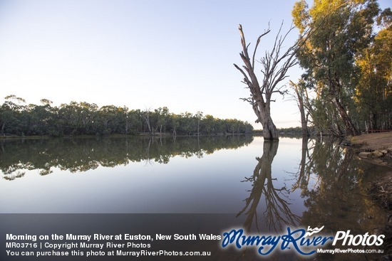 Morning on the Murray River at Euston, New South Wales