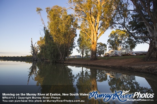 Morning on the Murray River at Euston, New South Wales