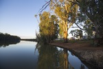 Morning on the Murray River at Euston, New South Wales