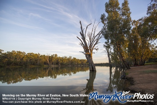 Morning on the Murray River at Euston, New South Wales