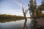 Morning on the Murray River at Euston, New South Wales