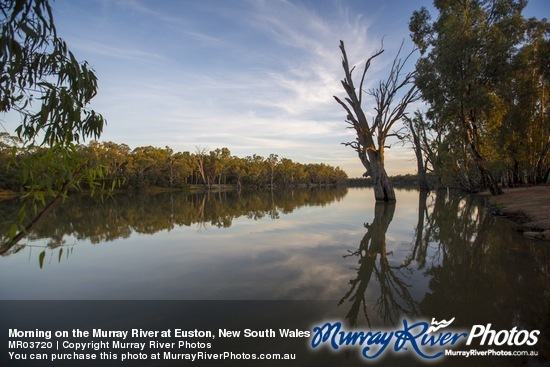 Morning on the Murray River at Euston, New South Wales