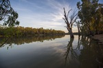Morning on the Murray River at Euston, New South Wales
