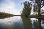 Morning on the Murray River at Euston, New South Wales