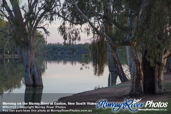 Morning on the Murray River at Euston, New South Wales