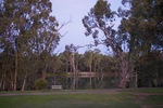 Last light by the Murray River at Euston, New South Wales