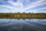 Reflections on the Murray River at Euston, NSW
