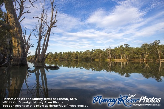 Reflections on the Murray River at Euston, NSW