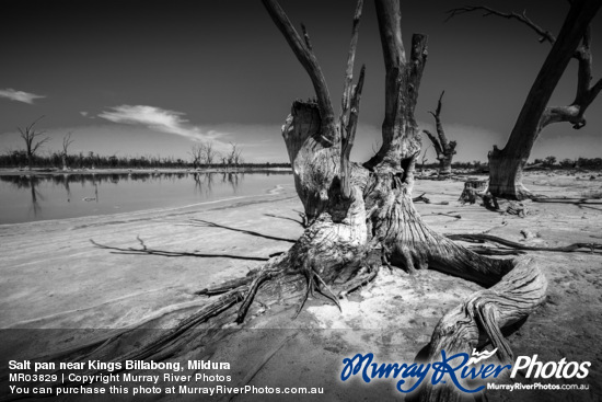 Salt pan near Kings Billabong, Mildura