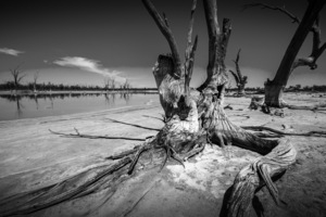 Salt pan near Kings Billabong, Mildura