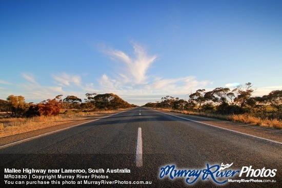 Mallee Highway near Lameroo, South Australia