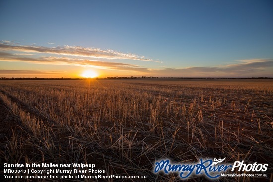 Sunrise in the Mallee near Walpeup