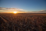 Sunrise in the Mallee near Walpeup