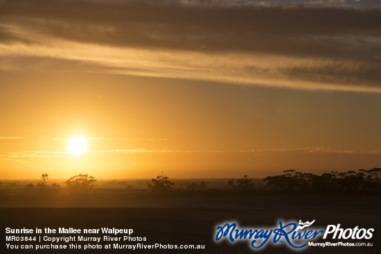 Sunrise in the Mallee near Walpeup