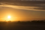 Sunrise in the Mallee near Walpeup