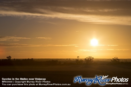 Sunrise in the Mallee near Walpeup