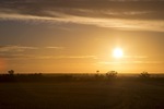 Sunrise in the Mallee near Walpeup