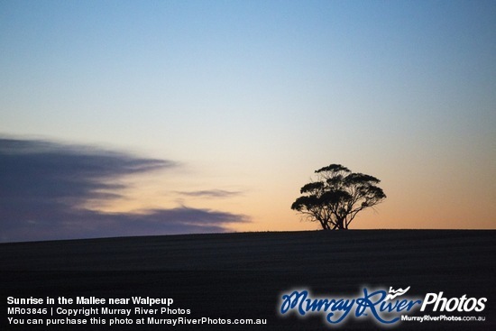 Sunrise in the Mallee near Walpeup