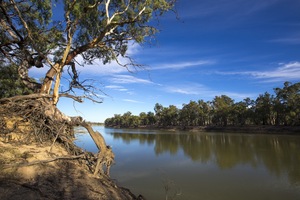 Murray River at Wemen, Victoria