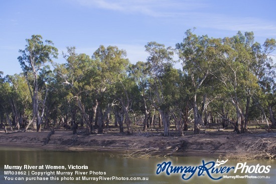 Murray River at Wemen, Victoria