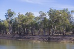 Murray River at Wemen, Victoria