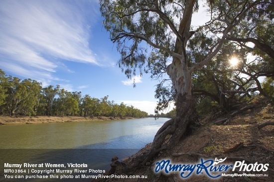 Murray River at Wemen, Victoria