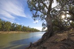 Murray River at Wemen, Victoria