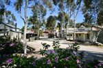 Tailem Town, Tailem Bend, South Australia