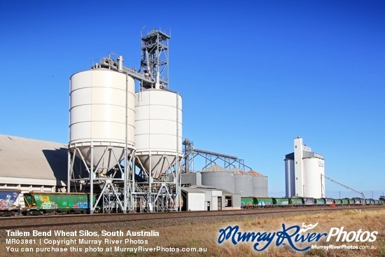 Tailem Bend Wheat Silos, South Australia