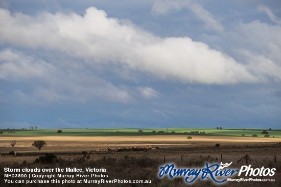 Storm clouds over the Mallee, Victoria