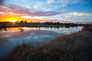 Bookmark Creek on sunset, Renmark