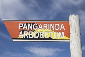 Pangarinda Arboretum