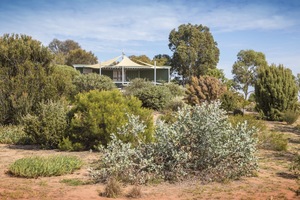 Pangarinda Arboretum, Wellington, South Australia