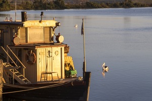 Paddleboat Lady Rae and pelican, Murray Bridge