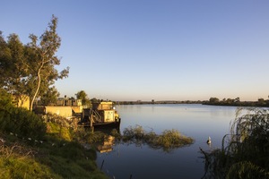 Paddleboat Lady Rae and pelican, Murray Bridge