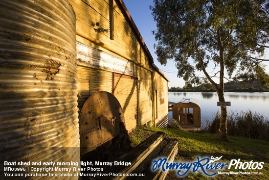 Boat shed and early morning light, Murray Bridge