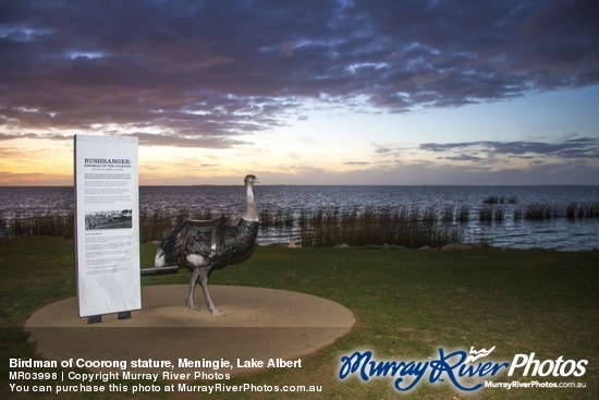 Birdman of Coorong stature, Meningie, Lake Albert