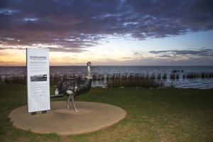 Birdman of Coorong stature, Meningie, Lake Albert