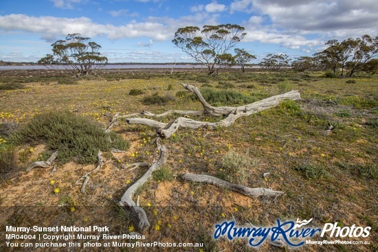 Murray-Sunset National Park