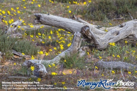 Murray-Sunset National Park