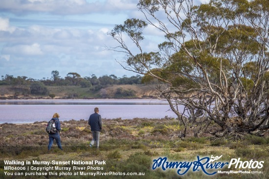 Walking in Murray-Sunset National Park