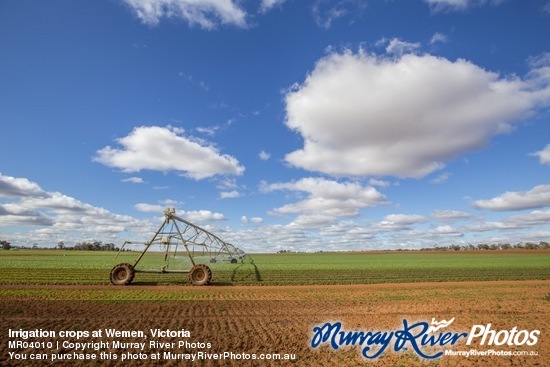 Irrigation crops at Wemen, Victoria