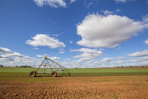 Irrigation crops at Wemen, Victoria