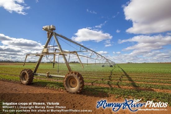 Irrigation crops at Wemen, Victoria