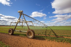 Irrigation crops at Wemen, Victoria