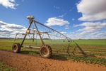 Irrigation crops at Wemen, Victoria